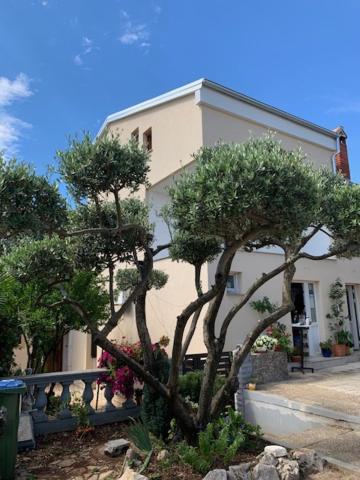 Taverna Coctel 波雷奇 外观 照片